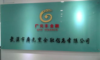 武漢廣元豐金融信息財(cái)務(wù)咨詢(xún)服務(wù) 打造企業(yè)財(cái)務(wù)健康新生態(tài)